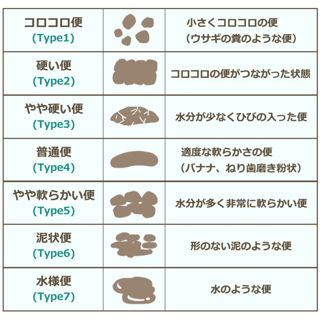 Intestinalflora-3