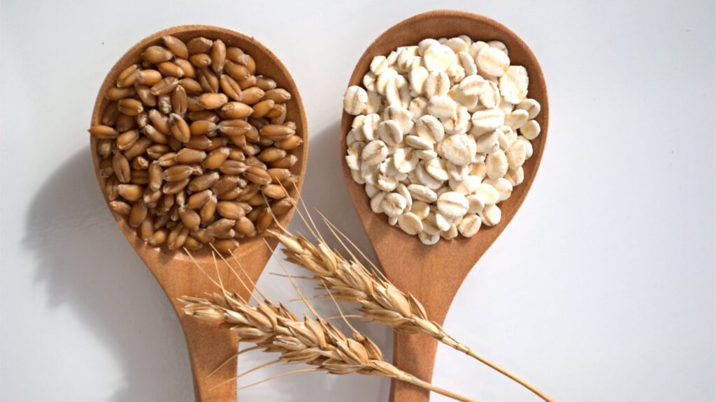 wheatbarley-1