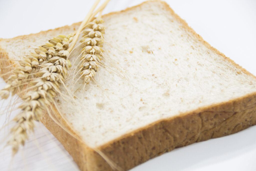 wheatbarley-3